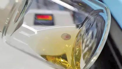 美《科学》评出二零二一年度十大突破5