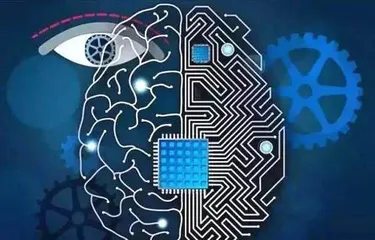 为器件尺度开发三段式机器学习框架,能在百分之零点五至百分之三百五十应变范围内实现传感器自动化设计5