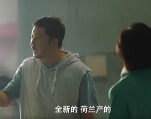 荷兰人是如何设计改变荷兰的