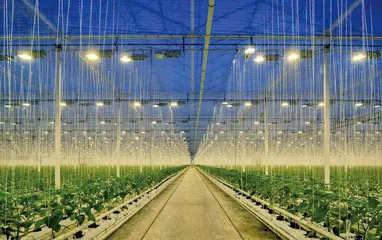 移植细胞可长期存活并形成新神经连接“全球新”脑卒中诱导多能干细胞管线预计今年申报中美IND2