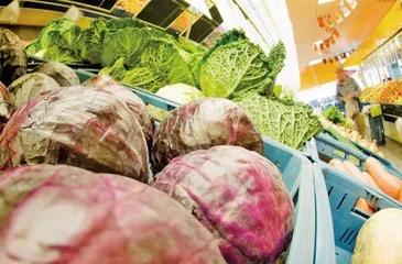 郁金香盛放背后:解开荷兰园艺业密码10