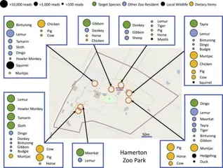 新奇风科学家从空气中成功提取到动物DNA,或可监测“隐藏”濒危物种2