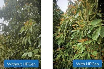 丹⻨公司研发过氧化氢“现场”⽣成设备解决⽔处理中供应链、危险化学品和温室⽓体难题2