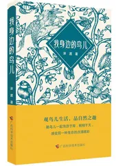 《我身边的鸟儿》