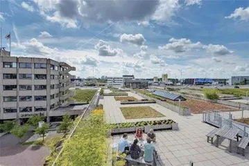 阿姆斯特丹⼆零五零总规:⼈类⼤都市5