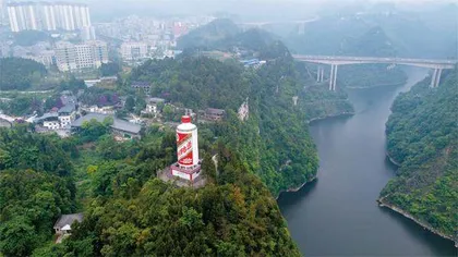 张德芹执掌茅台的30天1