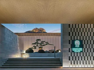加州推出全新全球品牌,欢迎游客体验“超凡游乐场” 3