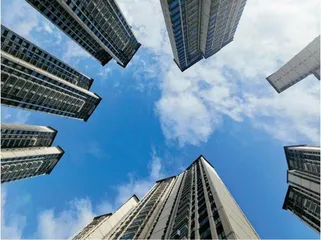 政策底和市场底已至？