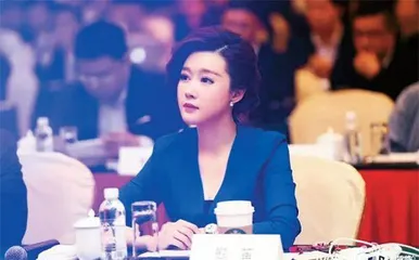 杉杉争产大战中的继母子2