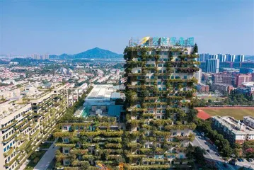碧桂园的继承者与改革派1
