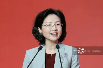 全国两会上的湾区声音1