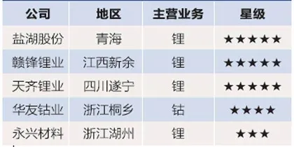 百亿“锂王”,逐鹿智能汽车产业链1