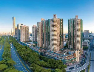 5个网红盘打新人的这三年1