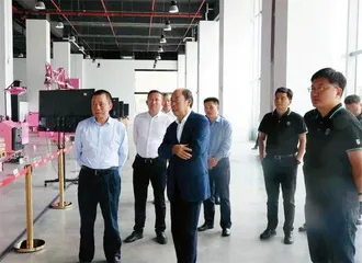 碧桂园风波中的杨氏父女