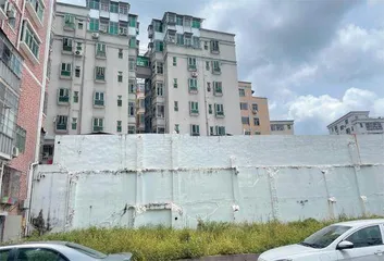 白芒村“统租”背后:深圳城中村改造缩影1