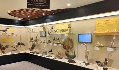 聚焦“全國生態日”，探討澳門自然生態可持續發展