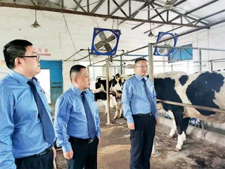买卖房屋,却掉入“砍头息”陷阱1