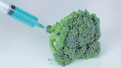 想挣快钱，竟在网店卖假农药