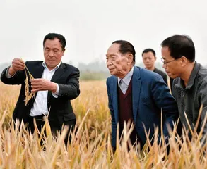 袁隆平:“杂交水稻之父”的两个梦1