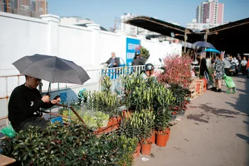 花市新观:线上火热、线下变革1
