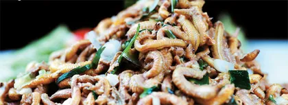 一部重口味的美食纪录片，是如何打开你的视野？3