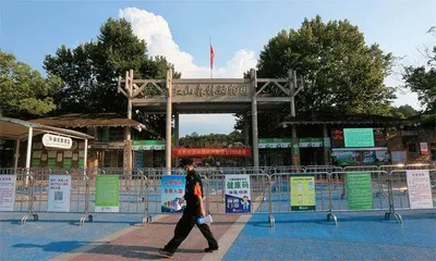 看直播认养一匹狼!动物园要重新定义了?1