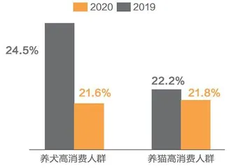 网红猫窝一天售罄,铲屎官也卷起来了2