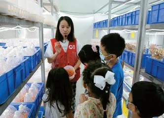 探秘一掷万元的研学旅游3