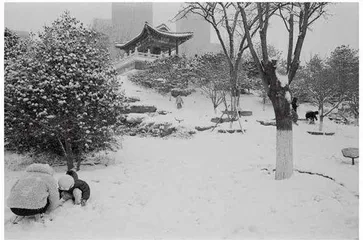 西海子公园12
