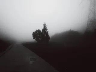 莫西子诗:凉山是一张巨大的网2