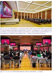 澳門城市需要更多“活”元素