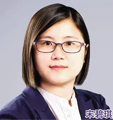 宋碧琪籲社會保障政府不應缺位