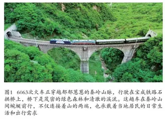 幸福慢车溢书香