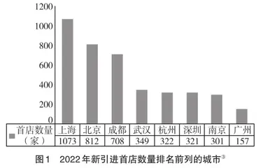 南宁市推动“首店经济”高质量发展的对策分析