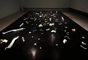 张培力:艺术是一次拔牙手术1