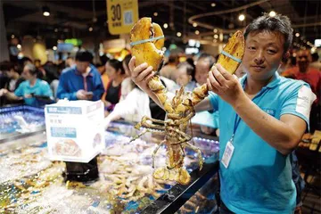 创始人退休，盒马的故事如何继续？