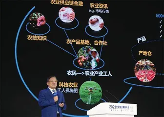 创始人退休,盒马的故事如何继续?1