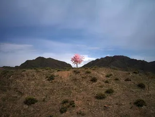 严明:在摄影中遇见心软的神4