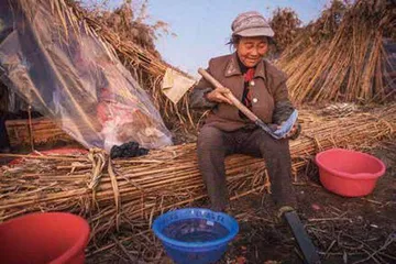 洞庭湖最后的砍苇工6