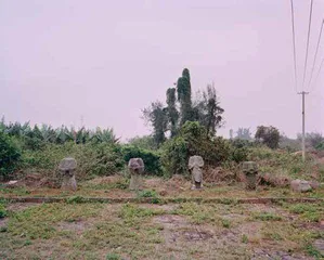 东海岛13