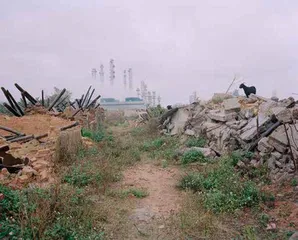 东海岛15