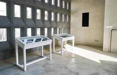 蒋志:生活欺骗不了你3