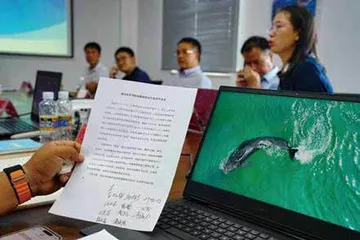 145天，鲸鱼“海棠”重回大海11