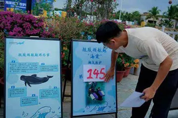 145天，鲸鱼“海棠”重回大海12
