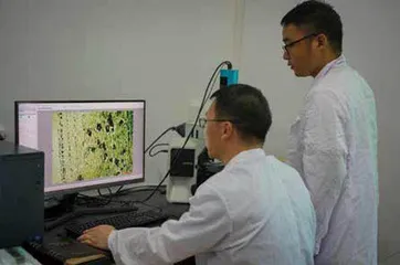 橡胶育种三代人跨越66年的科研接力7