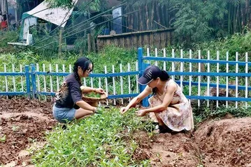 正在直播的社会实验不存在的乌托邦