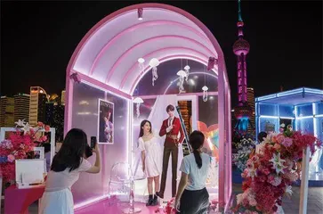 少女嫁给游戏里的男人，和他有了个棉花造的孩子