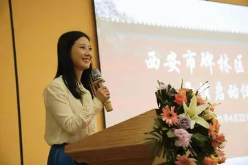 一个临时文旅副局长建了一座临时图书馆2