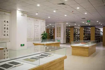 一个临时文旅副局长建了一座临时图书馆4