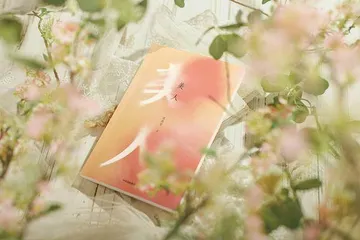 张惠雯:县城美人,地方的另一种历史1